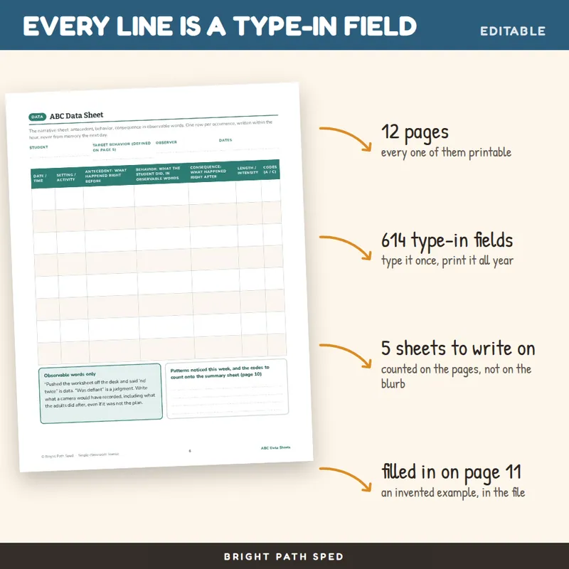 ABC Data Sheets Editable, image 2 of 4