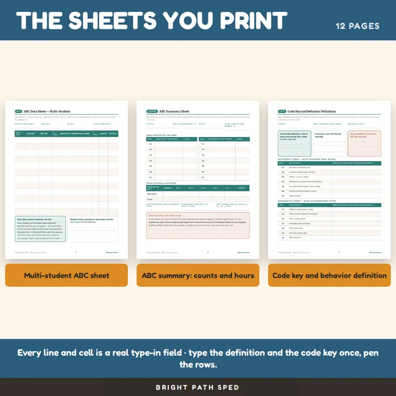 ABC Data Sheets Editable, image 3 of 4