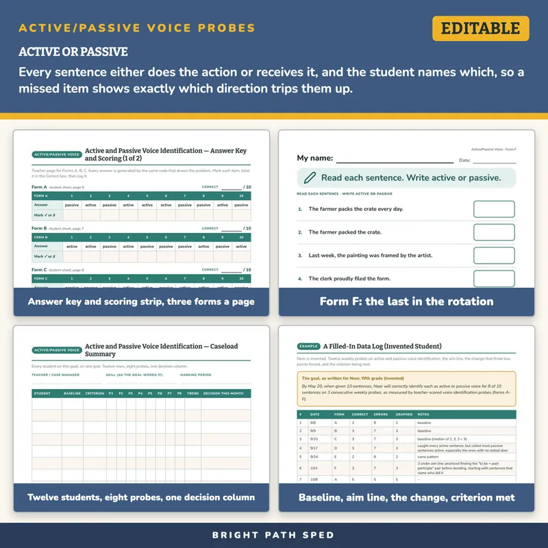 Active and Passive Voice Identification Progress Monitoring Probes, image 3 of 4