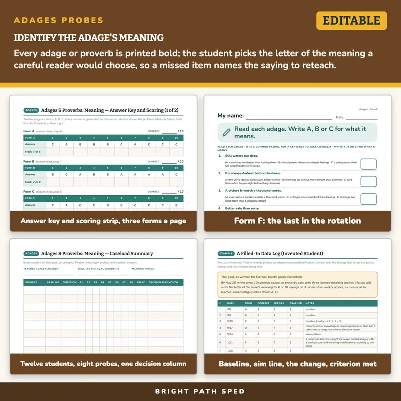 Adages and Proverbs Identify the Meaning Progress Monitoring Probes, image 3 of 4