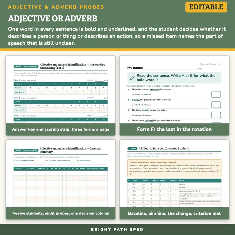Adjective and Adverb Identification Probes, image 3 of 4