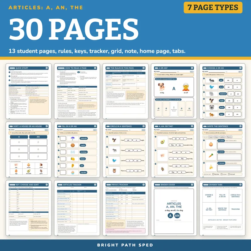 Articles (A, An, The) Worksheets, image 4 of 4