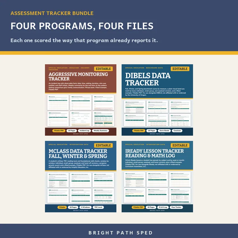 Assessment Tracker Bundle, for Use With DIBELS, mClass & iReady, image 2 of 3