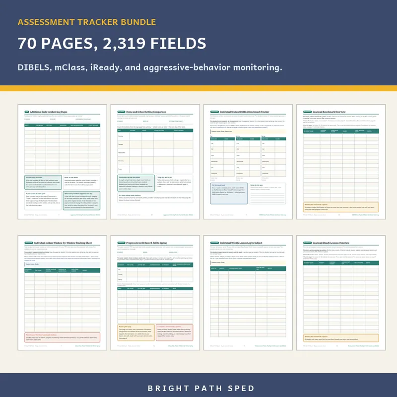 Assessment Tracker Bundle, for Use With DIBELS, mClass & iReady, image 3 of 3