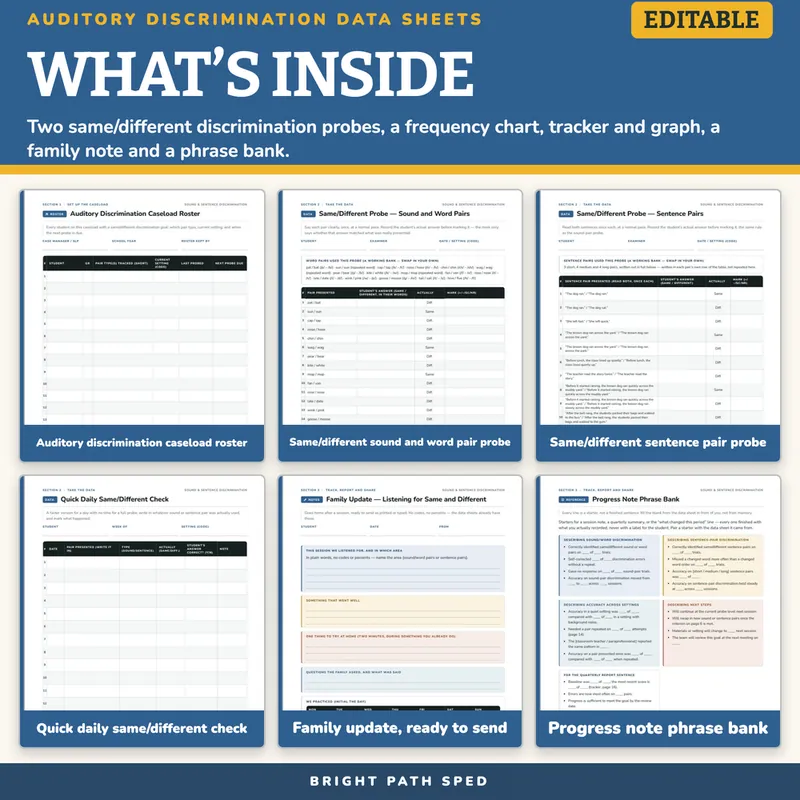 Auditory Discrimination Data Sheets Editable, image 2 of 4