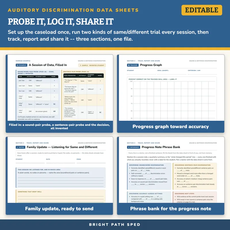Auditory Discrimination Data Sheets Editable, image 3 of 4