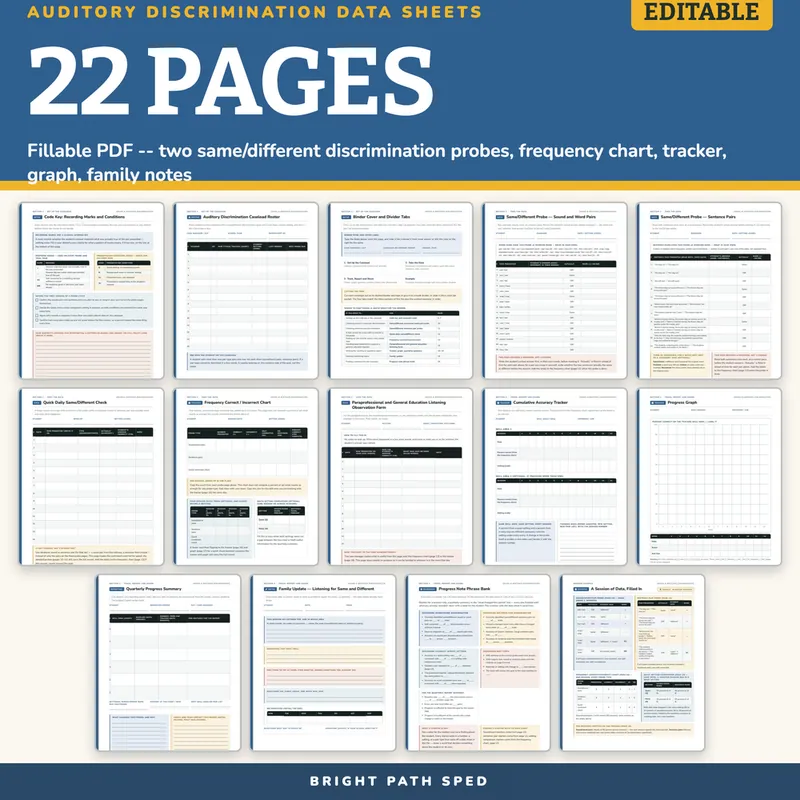 Auditory Discrimination Data Sheets Editable, image 4 of 4