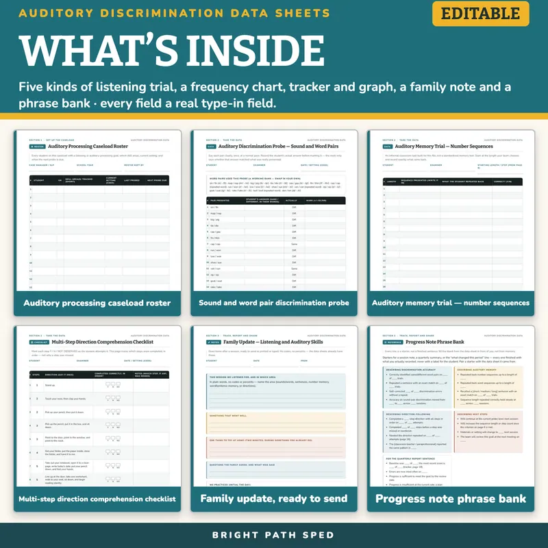 Auditory Processing and Discrimination Data Sheets Editable, image 2 of 4