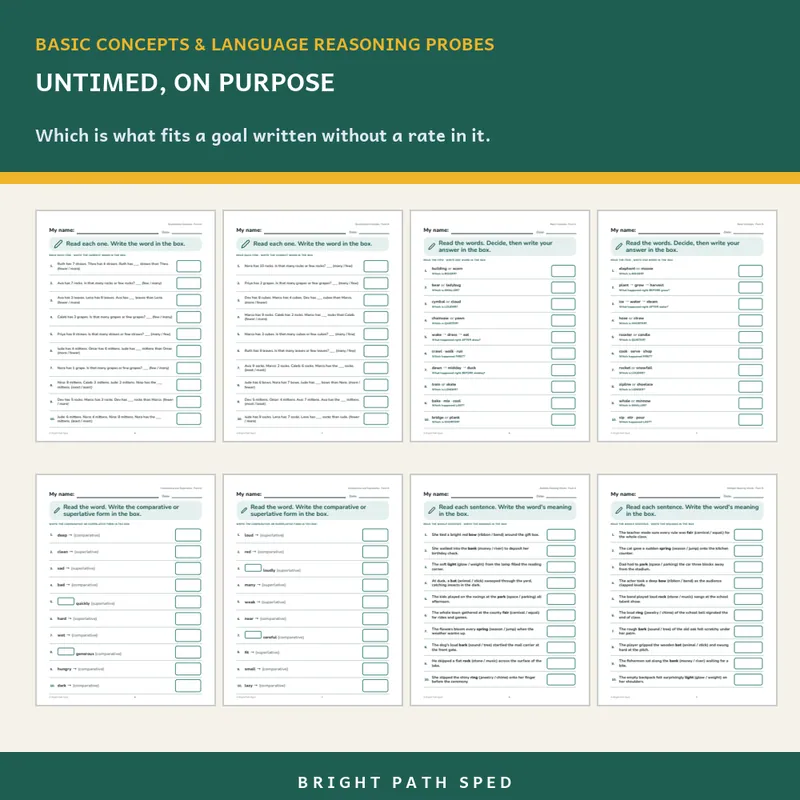 Basic Concepts and Language Reasoning Probes Bundle, image 3 of 3