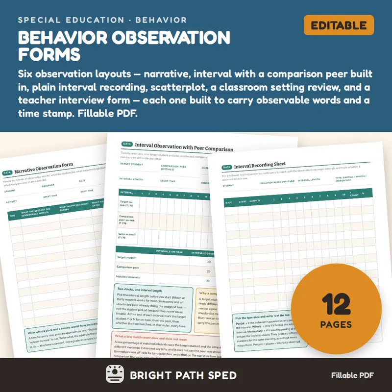 Behavior Observation Forms Editable, image 1 of 4