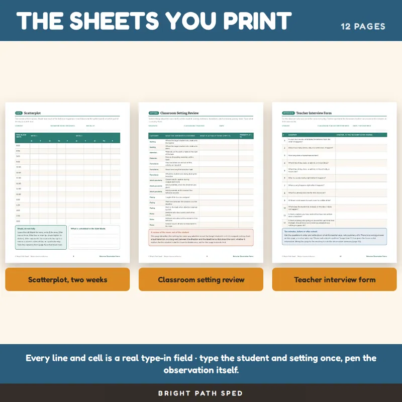 Behavior Observation Forms Editable, image 3 of 4