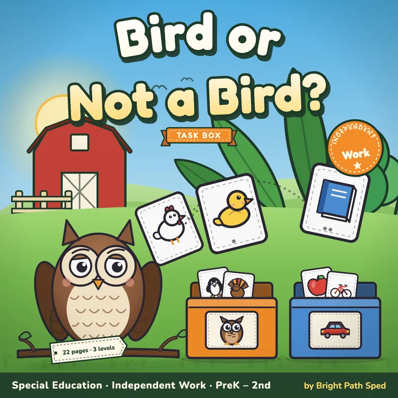 Birds vs Not Birds Sort Task Box, image 1 of 4