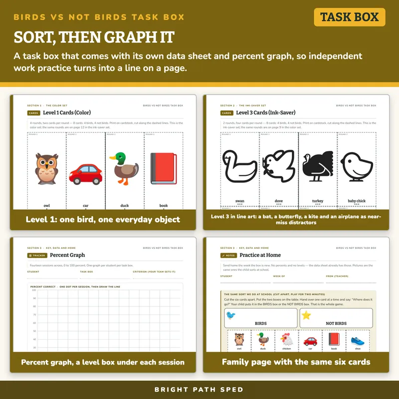 Birds vs Not Birds Sort Task Box, image 3 of 4