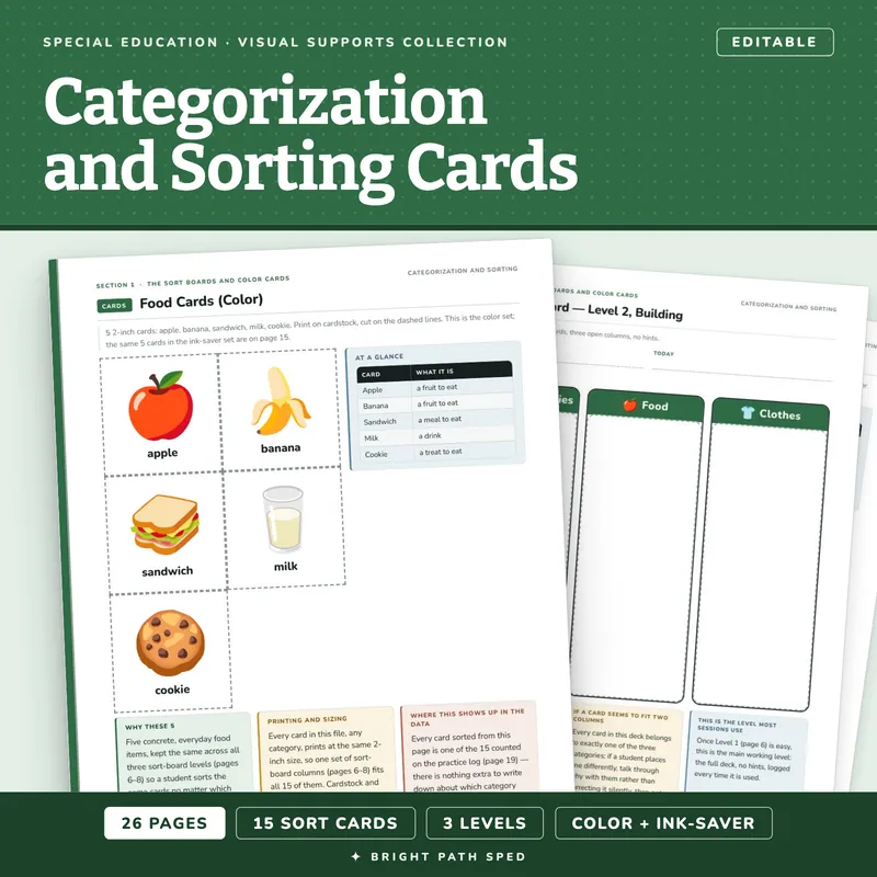 Categorization and Sorting Visual Cue Cards, image 1 of 4