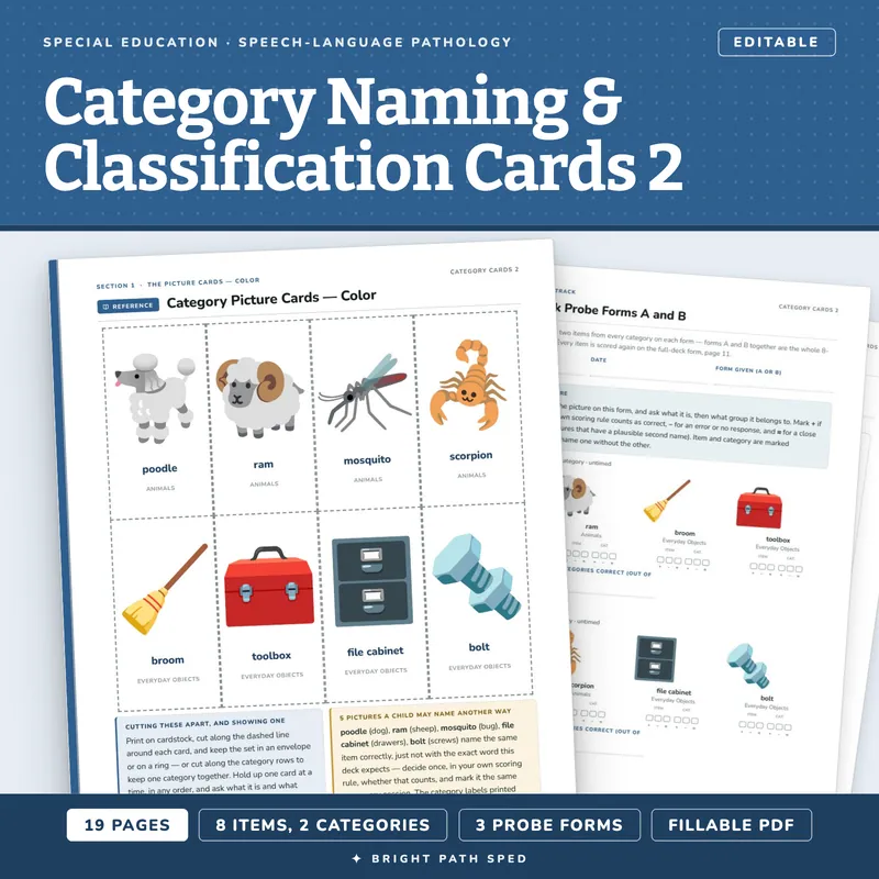 Category Naming and Classification Picture Cards 2, image 1 of 4
