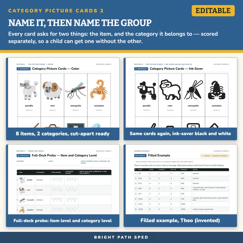 Category Naming and Classification Picture Cards 2, image 3 of 4