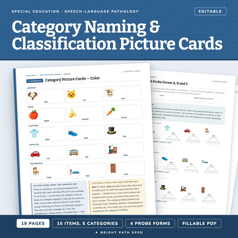 Category Naming and Classification Picture Cards, image 1 of 4