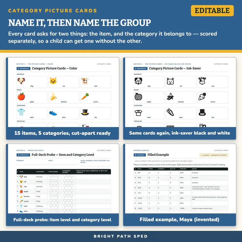 Category Naming and Classification Picture Cards, image 3 of 4