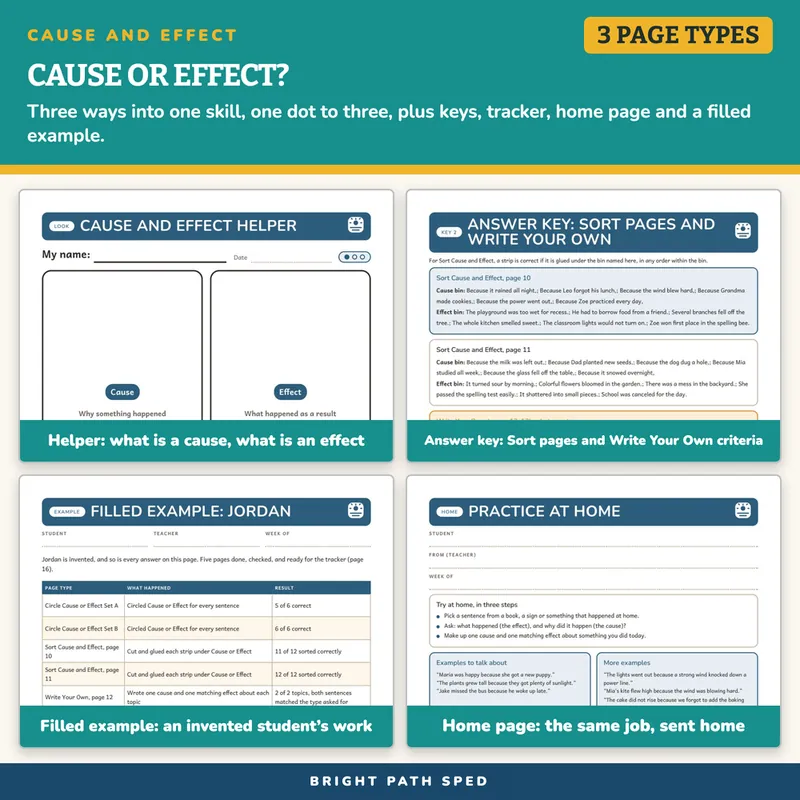 Cause and Effect Worksheets, image 3 of 4
