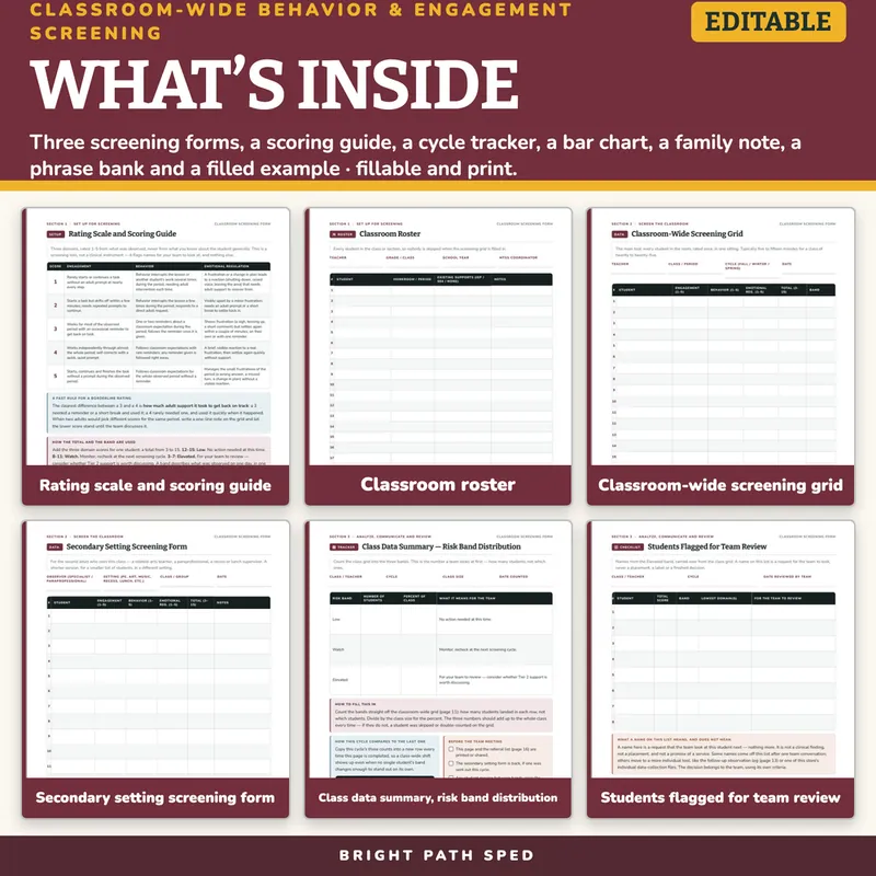 Classroom-Wide Behavioral and Engagement Screening Editable, image 2 of 4