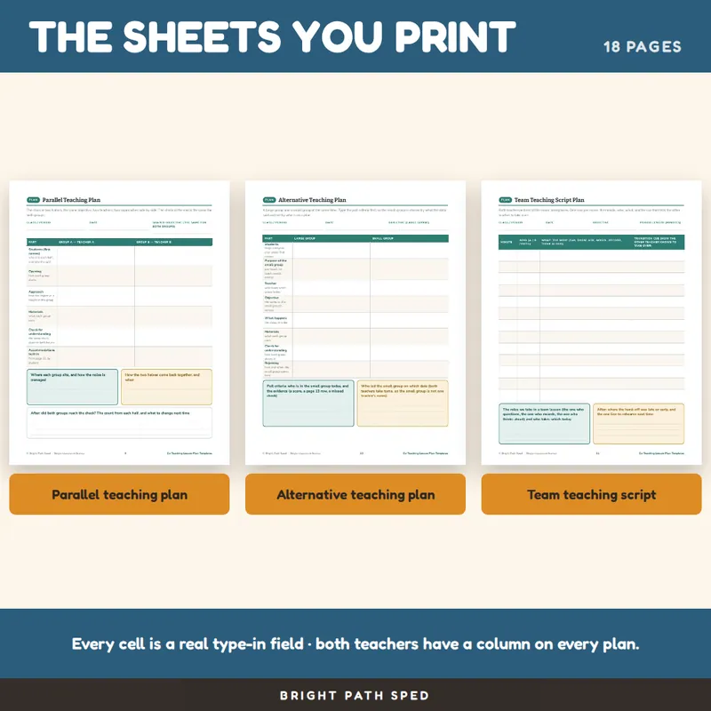 Co-Teaching Lesson Plan Templates Editable, image 3 of 4