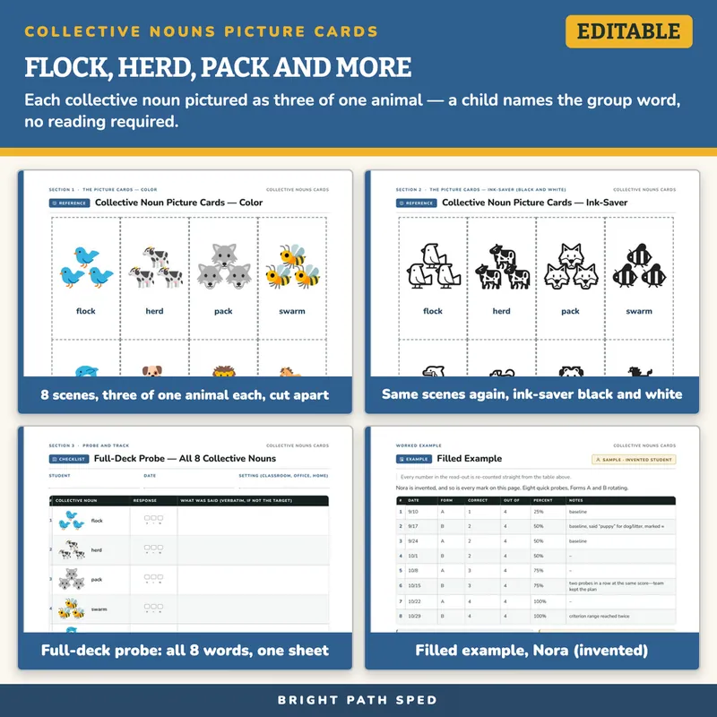 Collective Nouns Picture Cards: Flock, Herd, Pack, Pod and More, image 3 of 4