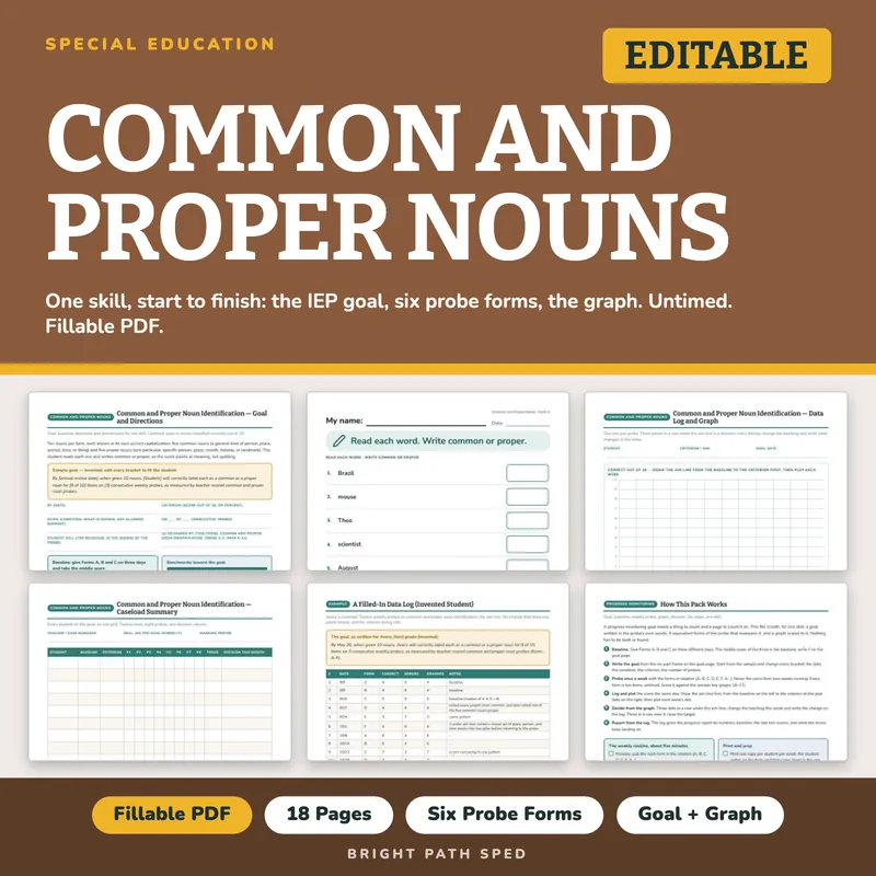 Common and Proper Nouns Progress Monitoring Probes, image 1 of 4
