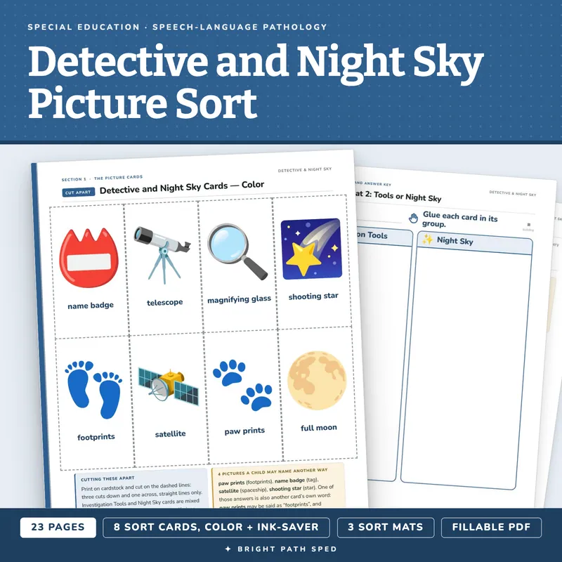 Detective and Night Sky Picture Sort, image 1 of 4