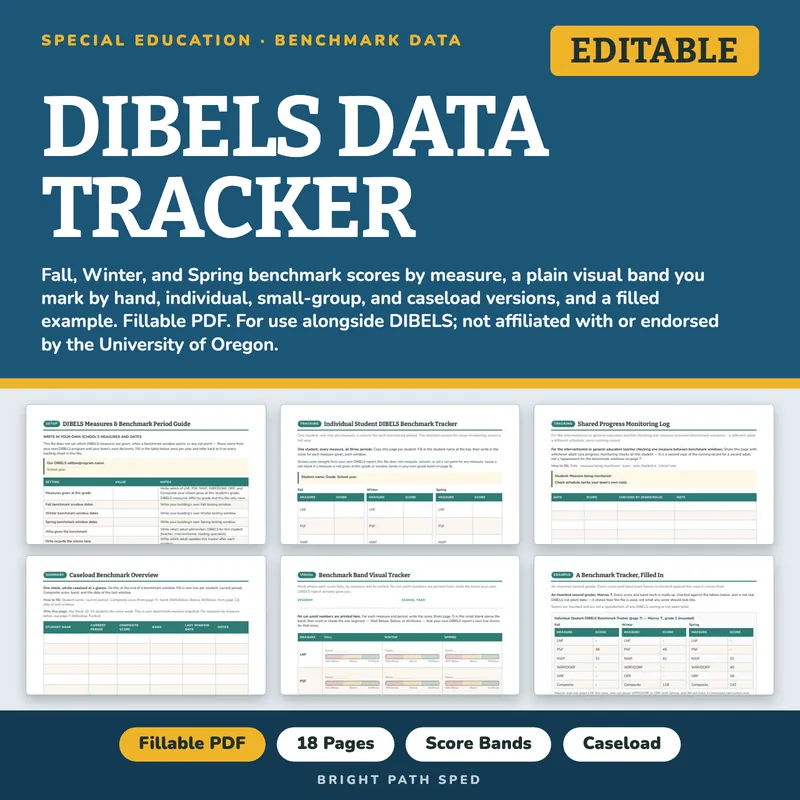 DIBELS Data Tracker Editable, for Use With DIBELS Benchmarks, image 1 of 4