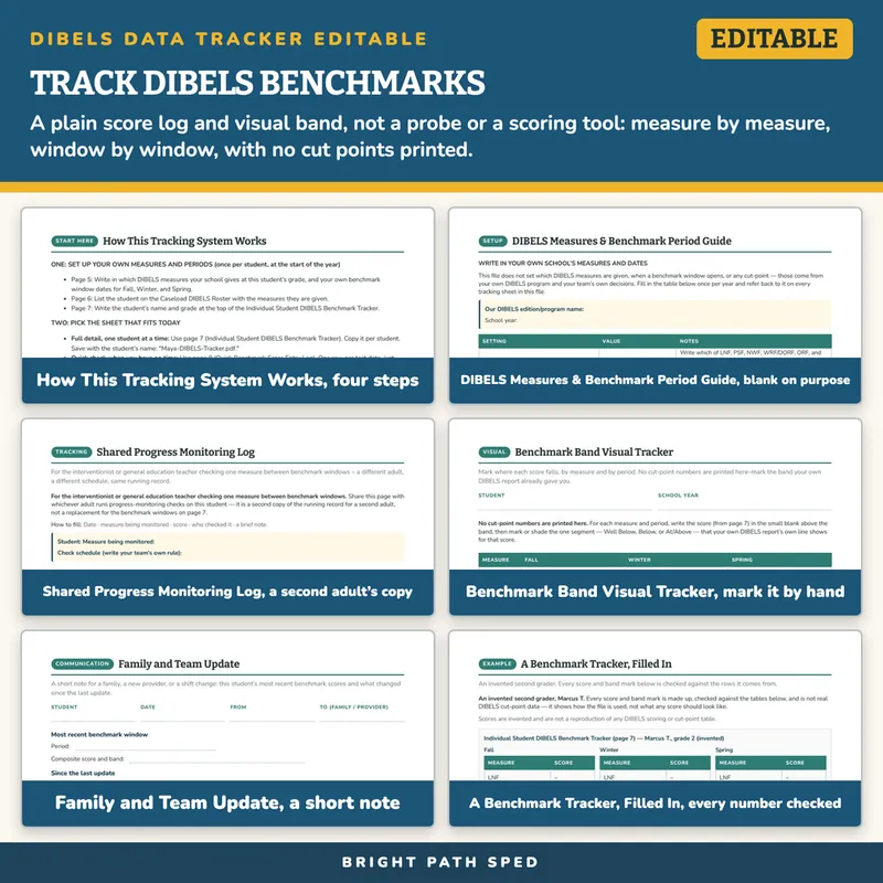 DIBELS Data Tracker Editable, for Use With DIBELS Benchmarks, image 3 of 4