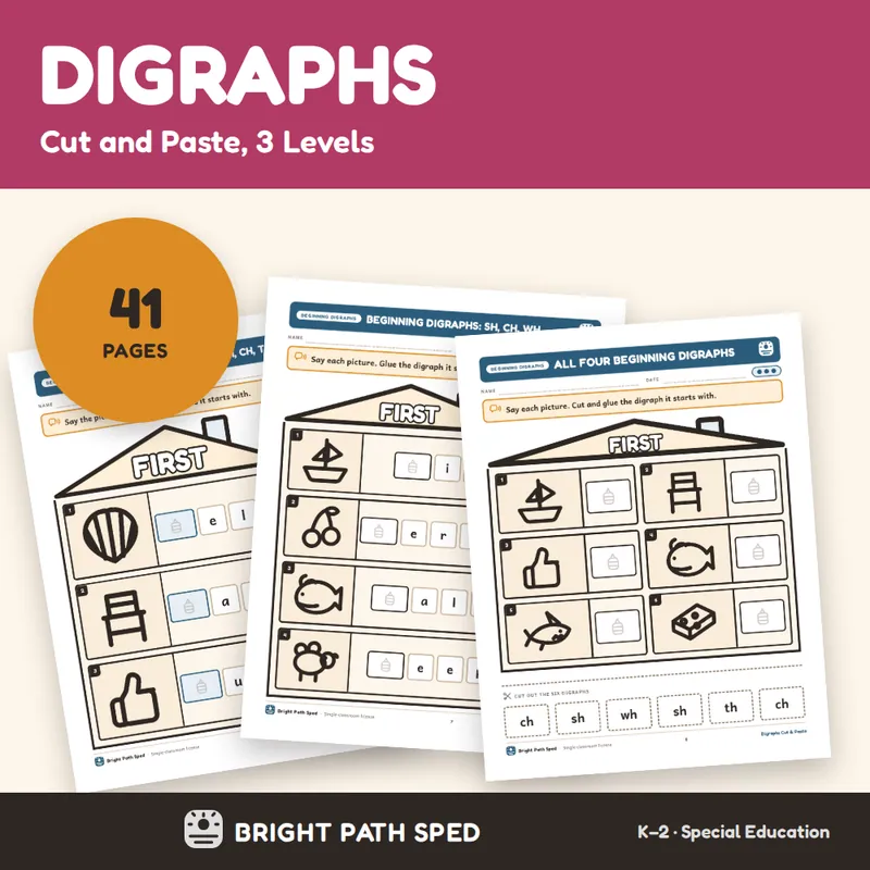 Digraphs Cut and Paste Worksheets 3 Levels Differentiated Phonics SPED, image 1 of 4