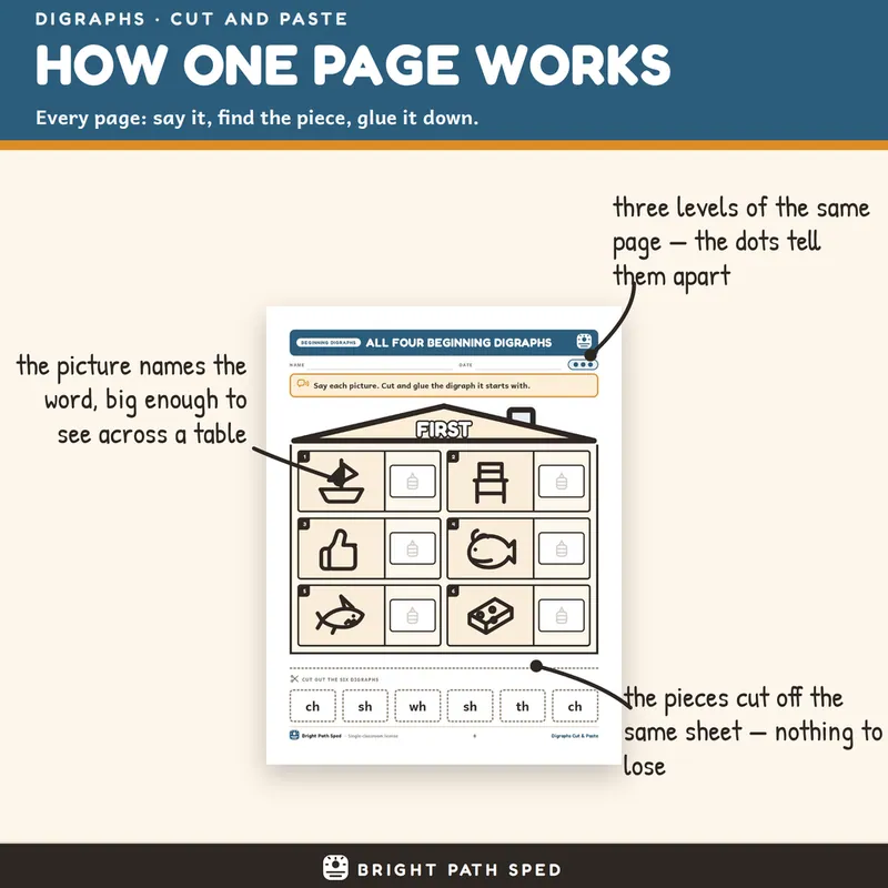 Digraphs Cut and Paste Worksheets 3 Levels Differentiated Phonics SPED, image 2 of 4
