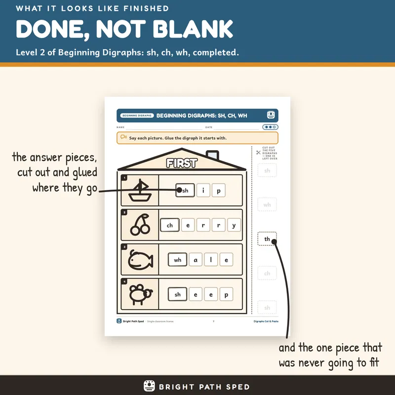 Digraphs Cut and Paste Worksheets 3 Levels Differentiated Phonics SPED, image 4 of 4