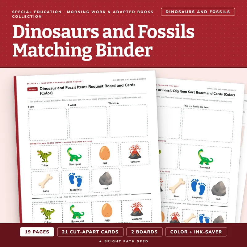 Dinosaurs and Fossils Matching Binder, image 1 of 4