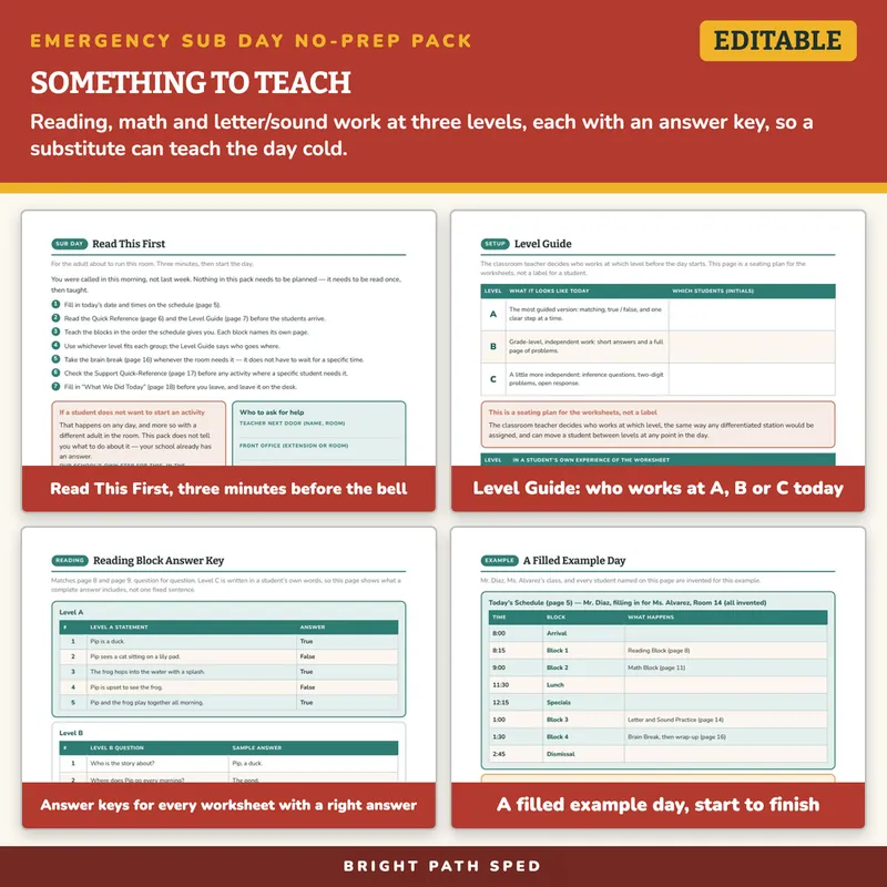 Emergency Sub Plans No Prep Day Pack Editable, image 3 of 4