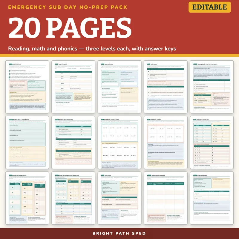 Emergency Sub Plans No Prep Day Pack Editable, image 4 of 4