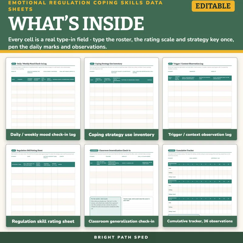 Emotional Regulation Coping Skills Data Sheets Editable, image 2 of 4