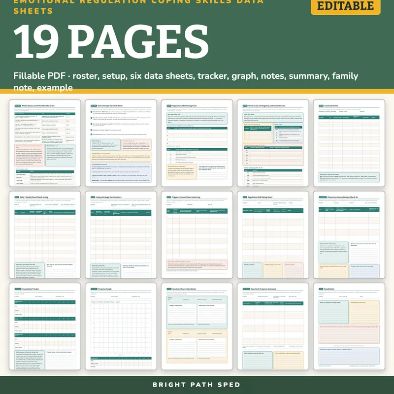 Emotional Regulation Coping Skills Data Sheets Editable, image 4 of 4