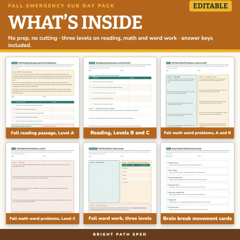 Fall Emergency Sub Plans No Prep Day Pack Editable, image 2 of 4