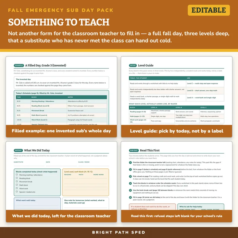 Fall Emergency Sub Plans No Prep Day Pack Editable, image 3 of 4