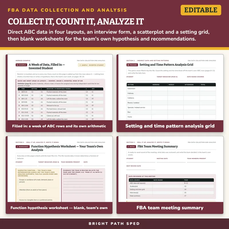 FBA Data Collection and Analysis Editable, image 3 of 4