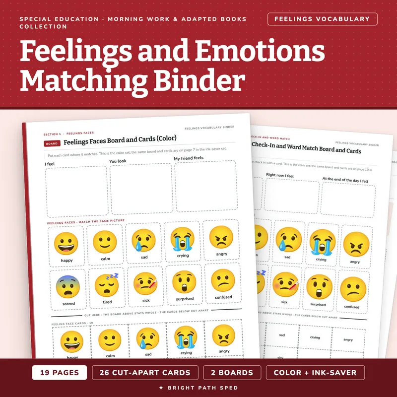 Feelings and Emotions Matching Binder, image 1 of 4
