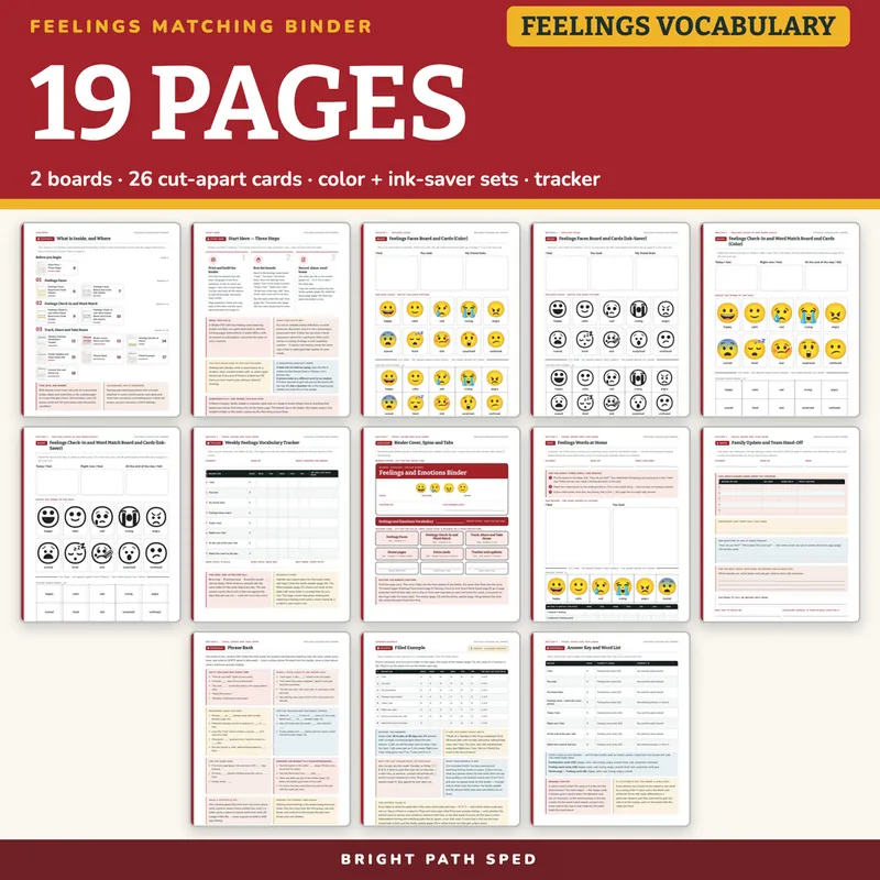 Feelings and Emotions Matching Binder, image 4 of 4