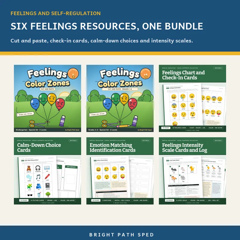 Feelings and Self-Regulation Bundle, image 2 of 3