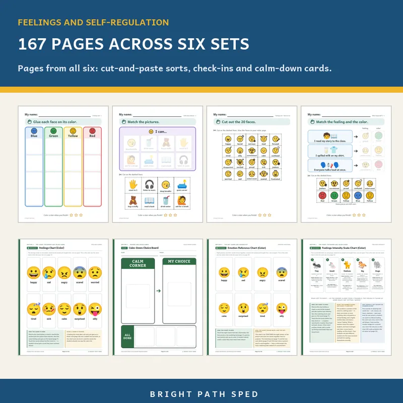 Feelings and Self-Regulation Bundle, image 3 of 3