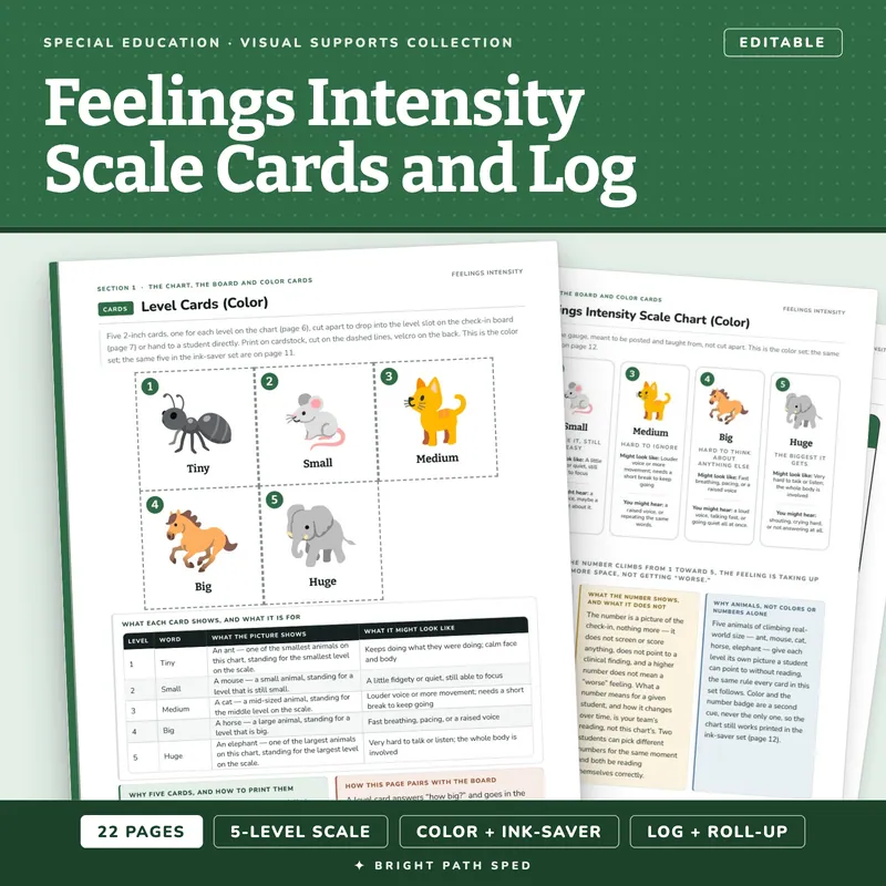Feelings Intensity Scale Cards and Log, image 1 of 4