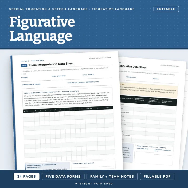 Figurative Language Idiom Simile Metaphor Data Sheets Editable, image 1 of 4