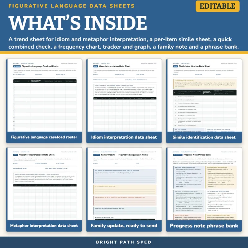 Figurative Language Idiom Simile Metaphor Data Sheets Editable, image 2 of 4