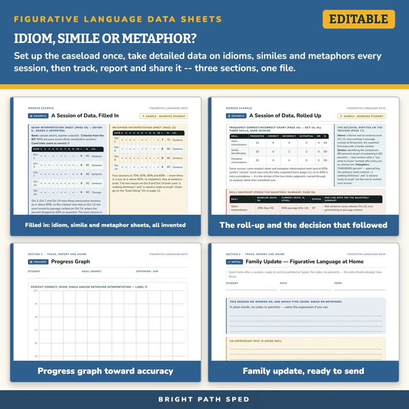 Figurative Language Idiom Simile Metaphor Data Sheets Editable, image 3 of 4