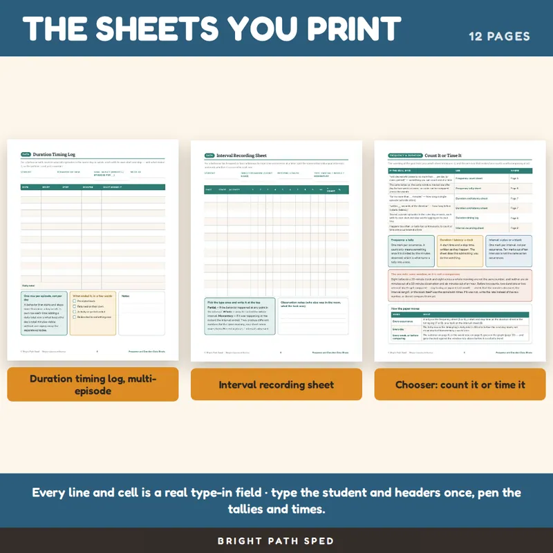 Frequency and Duration Data Sheets Editable, image 3 of 4